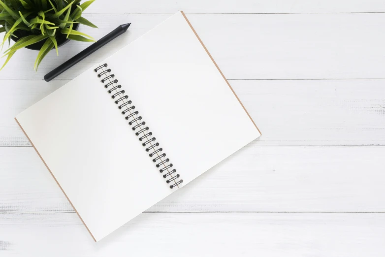 an open notebook with a pen next to a potted plant, pexels, minimalism, background image, white floor, 9 9 designs, rectangular