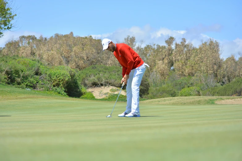 a man in red shirt playing a game of golf, by Terese Nielsen, pexels contest winner, sydney park, coastal, profile pic, standing in midground