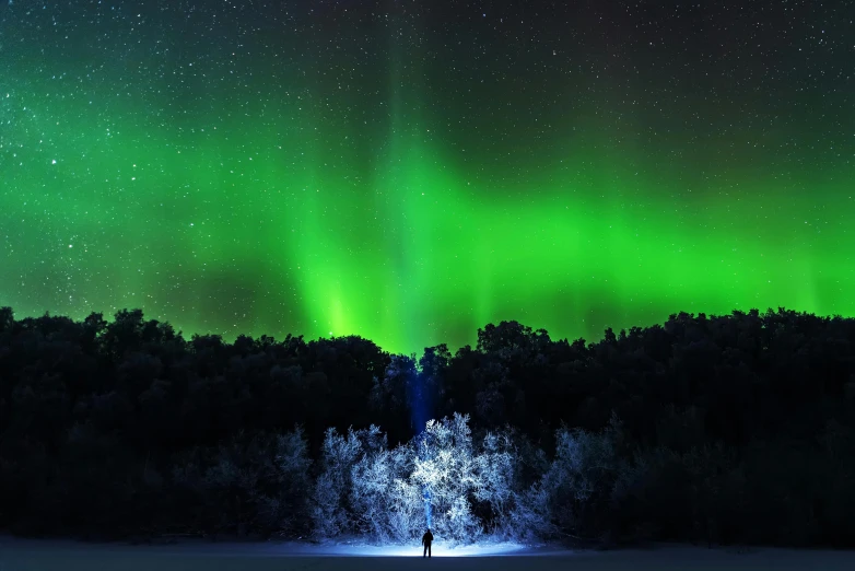 a person standing in the middle of a snow covered field, an album cover, by Christopher Balaskas, pexels contest winner, hurufiyya, green lights, nordic forest colors, multicoloured, aurora green