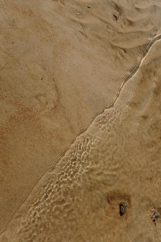 an elephant standing on top of a sandy beach, by Rudolf Schlichter, featured on reddit, land art, detail texture, river flowing through a wall, honey ripples, omaha beach