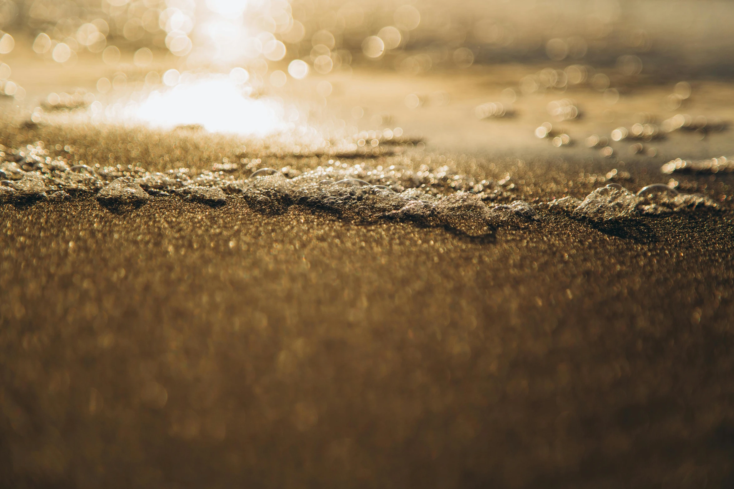 a close up of water and sand on a beach, by Daniel Lieske, unsplash, warm golden backlit, shiny surfaces, low-angle shot, wet concrete