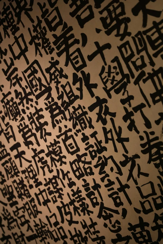 a number of asian writing on a wall, inspired by Li Di, courtesy of moma, on display in a museum, intense shading, detail shot