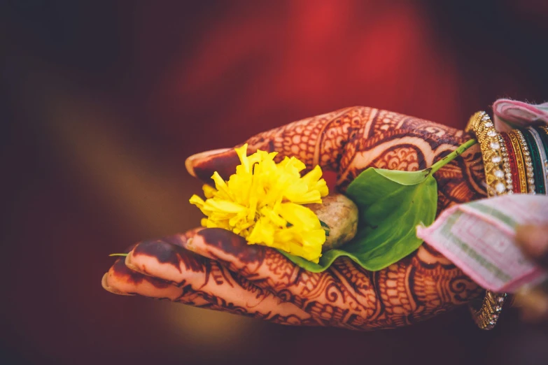 a close up of a person holding a flower, samikshavad, red and gold cloth, natural hands and arms, with yellow flowers around it, divine vibes