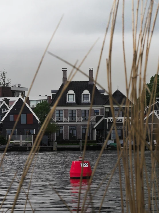 a red buoy floating on top of a body of water, a picture, by Jan Tengnagel, pexels contest winner, de stijl, some houses in the background, reed on riverbank, today\'s featured photograph 4k, grey skies