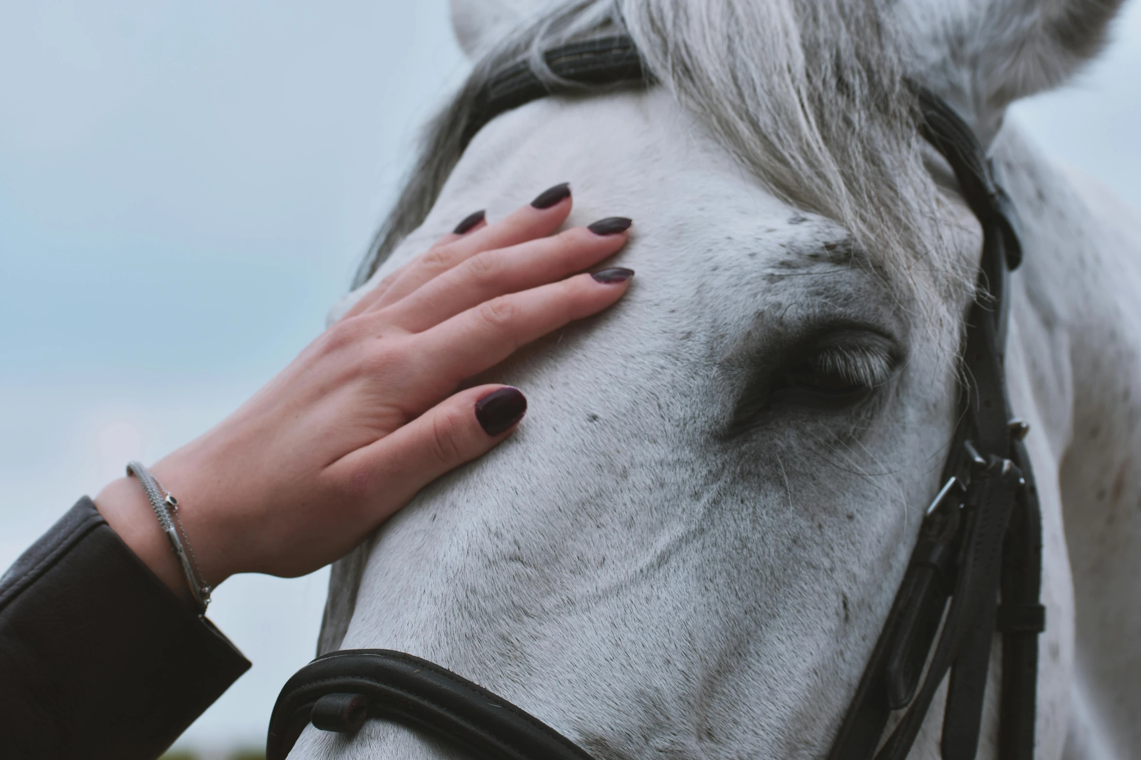 a close up of a person petting a horse, by Emma Andijewska, trending on pexels, photorealism, grey skin, facepalm, fashionable, wolfy nail