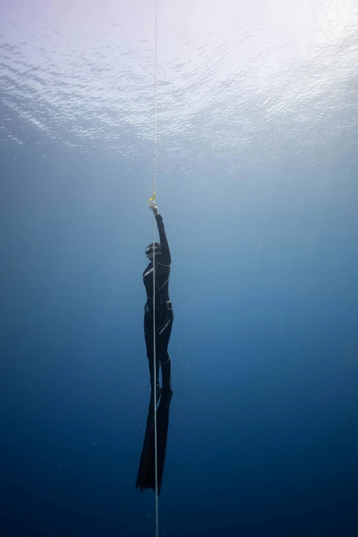 a person that is in the water with a rope, bottom of ocean, profile image