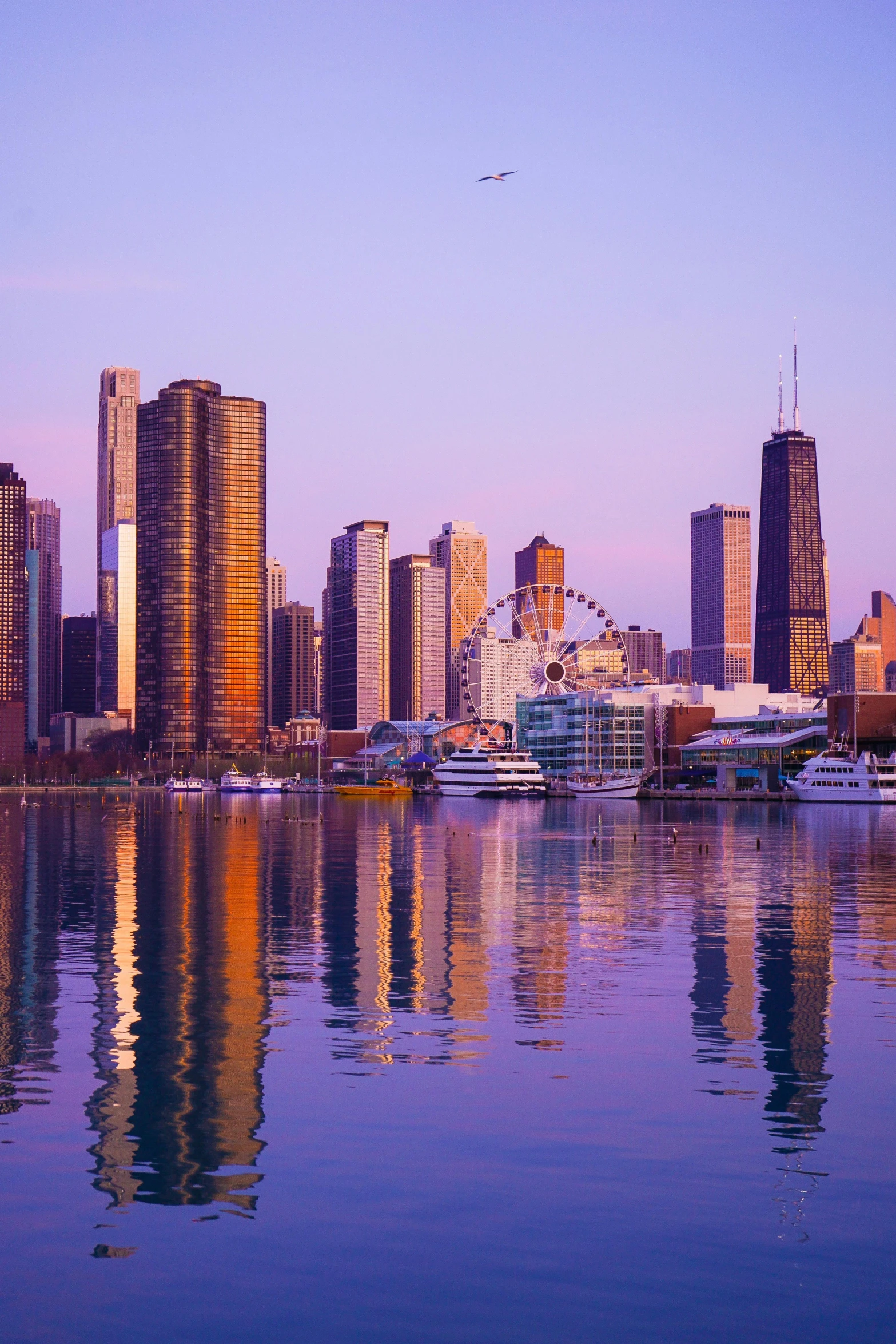 a large body of water with a city in the background, chicago skyline, tall purple and pink trees, at sunset, hotel room