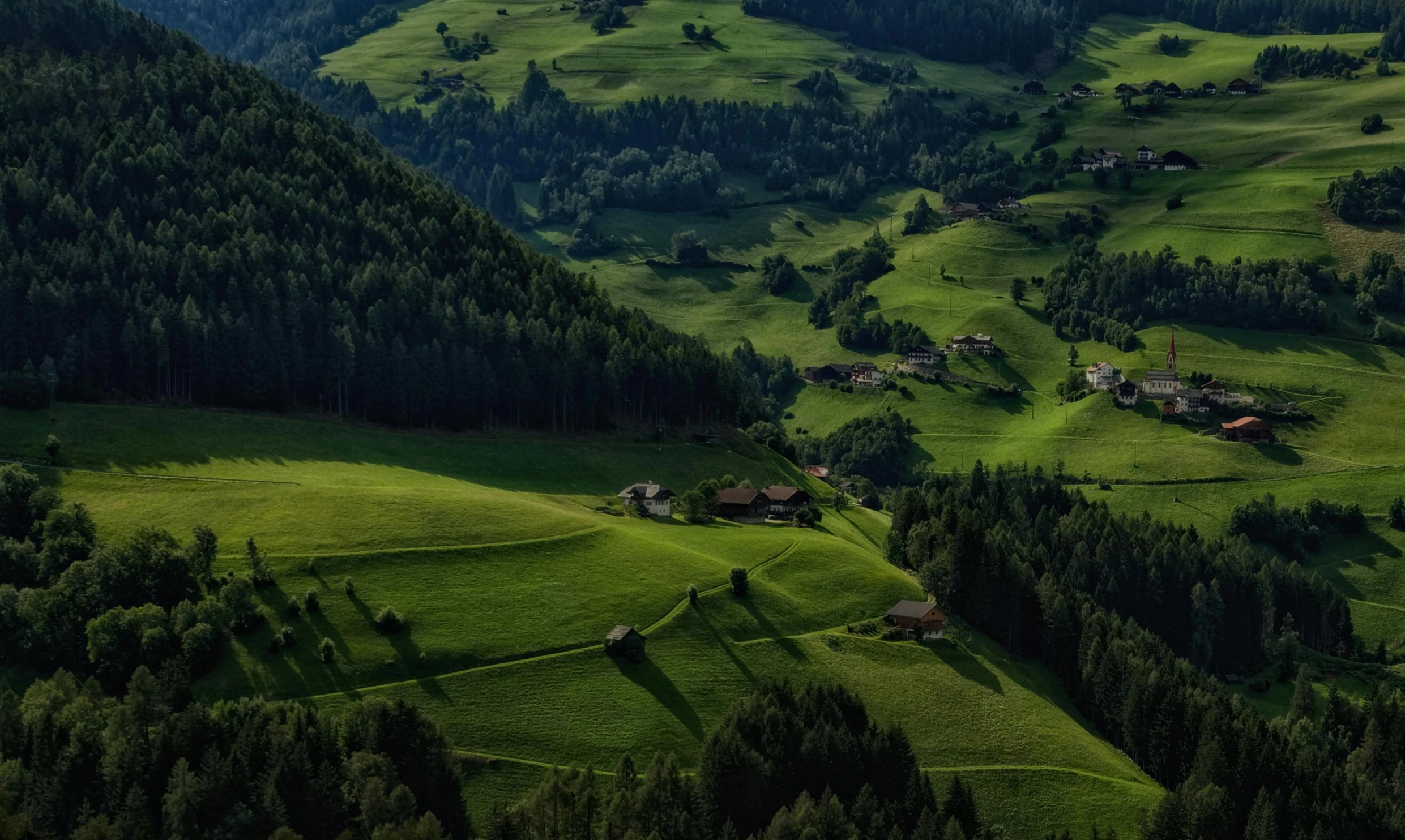 a valley filled with lots of green grass and trees, by Matthias Weischer, pexels contest winner, renaissance, few farm green highlights, early evening, conde nast traveler photo, hd footage