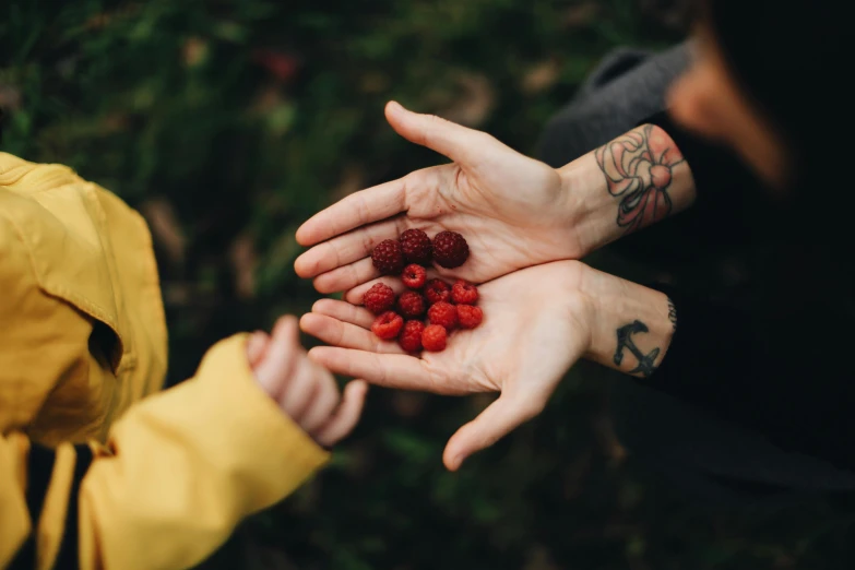 two people holding raspberries in their hands, by Adam Marczyński, pexels contest winner, tattoo, avatar image, picnic, family friendly