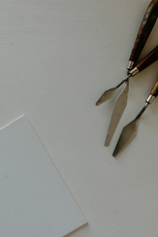 a couple of knives sitting next to a piece of paper, a minimalist painting, inspired by Kyffin Williams, trending on pexels, visual art, silver，ivory, fan favorite, superres sharpening, small elongated planes