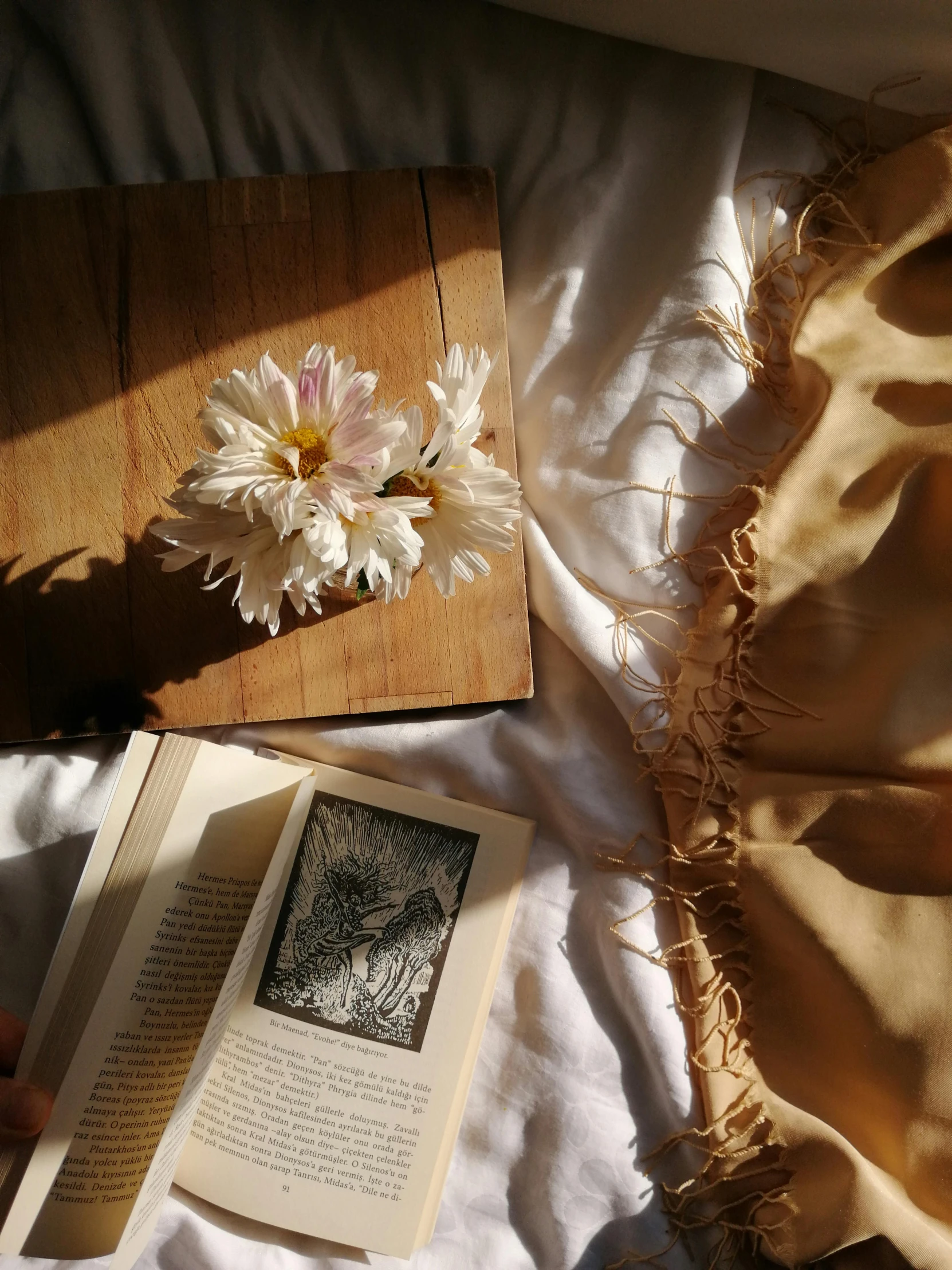 a person reading a book on a bed, a still life, inspired by Julia Margaret Cameron, trending on unsplash, arts and crafts movement, sun dappled, brown flowers, photographed for reuters, wood and paper