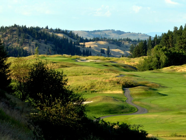 a view of a golf course from the top of a hill, renaissance, evergreen valley, profile image, canyon, square