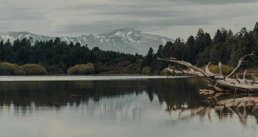 a body of water with trees and mountains in the background, by Peter Churcher, unsplash contest winner, hurufiyya, new zeeland, grey, classic beauty, fan favorite