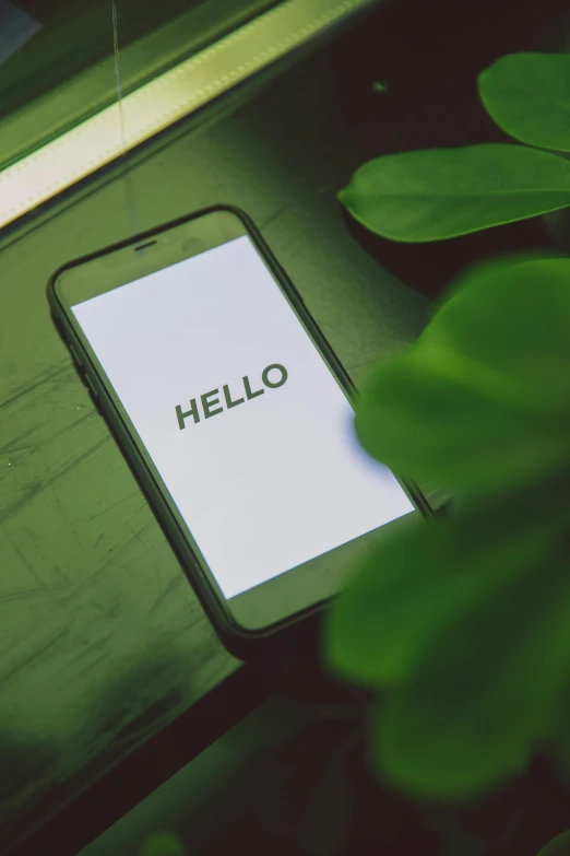 a cell phone sitting on top of a wooden table, trending on pexels, happening, green letters, hello, next to a plant, avatar image