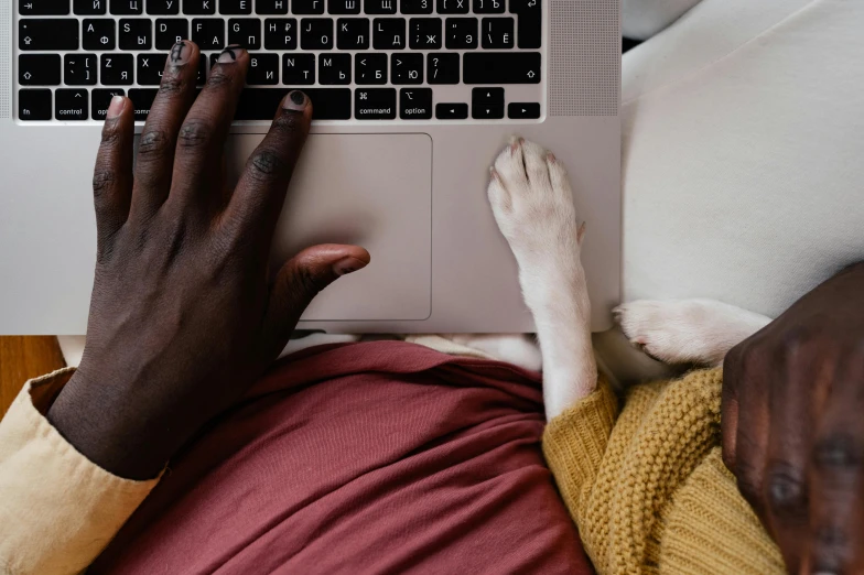 a person laying on a bed with a laptop and a dog, by Carey Morris, trending on pexels, holding hands, varying ethnicities, maroon and white, programming