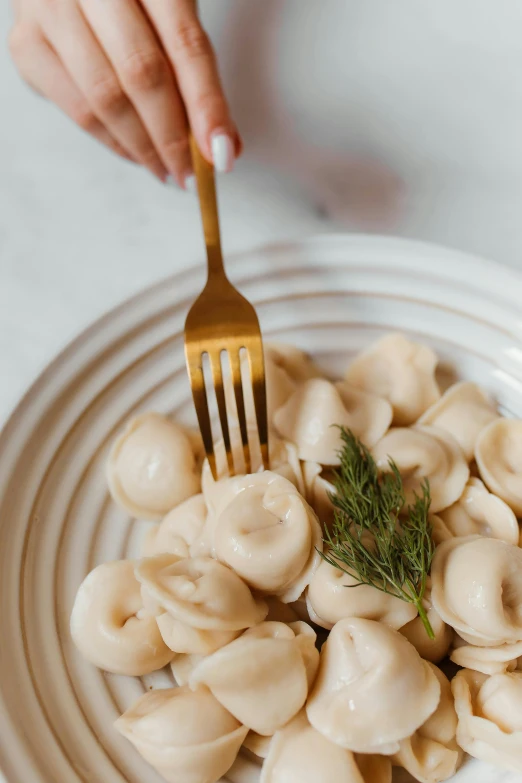 a close up of a plate of food with a fork, inspired by Lucia Peka, renaissance, dumplings on a plate, premium, ekaterina, 4l