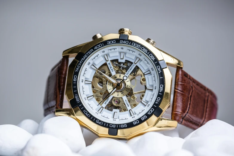 a watch sitting on top of a pile of rocks, inspired by Henry Otto Wix, pexels contest winner, ornate white and gold armour, brown exoskeleton, profile image, various posed