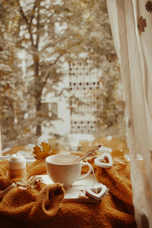 a cup and saucer sitting on a window sill, inspired by Elsa Bleda, pexels contest winner, 🍂 cute, cozy wallpaper, beige, seasonal