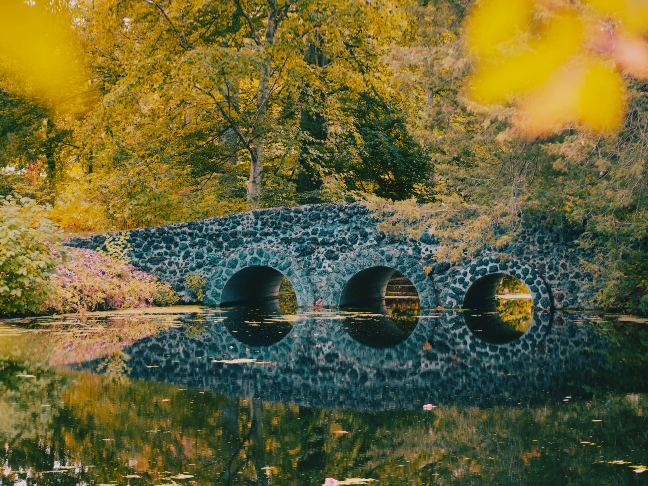 a stone bridge over a body of water, pexels contest winner, trees reflecting on the lake, color footage, thumbnail, brown