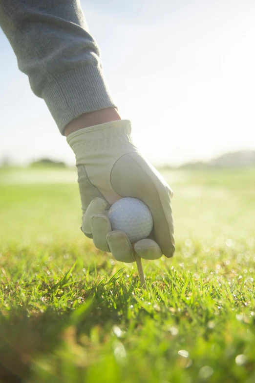 a person holding a golf ball on top of a green field, in the sun, profile image