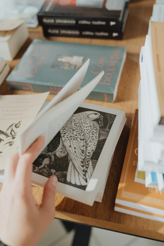 a person sitting at a table reading a book, a woodcut, pexels contest winner, private press, flying books, books on side table, bird view, in detail