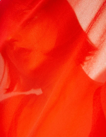 a close up of a person holding an umbrella, inspired by Ren Hang, lyrical abstraction, fiery red, wearing translucent sheet, profile image, ansel ]
