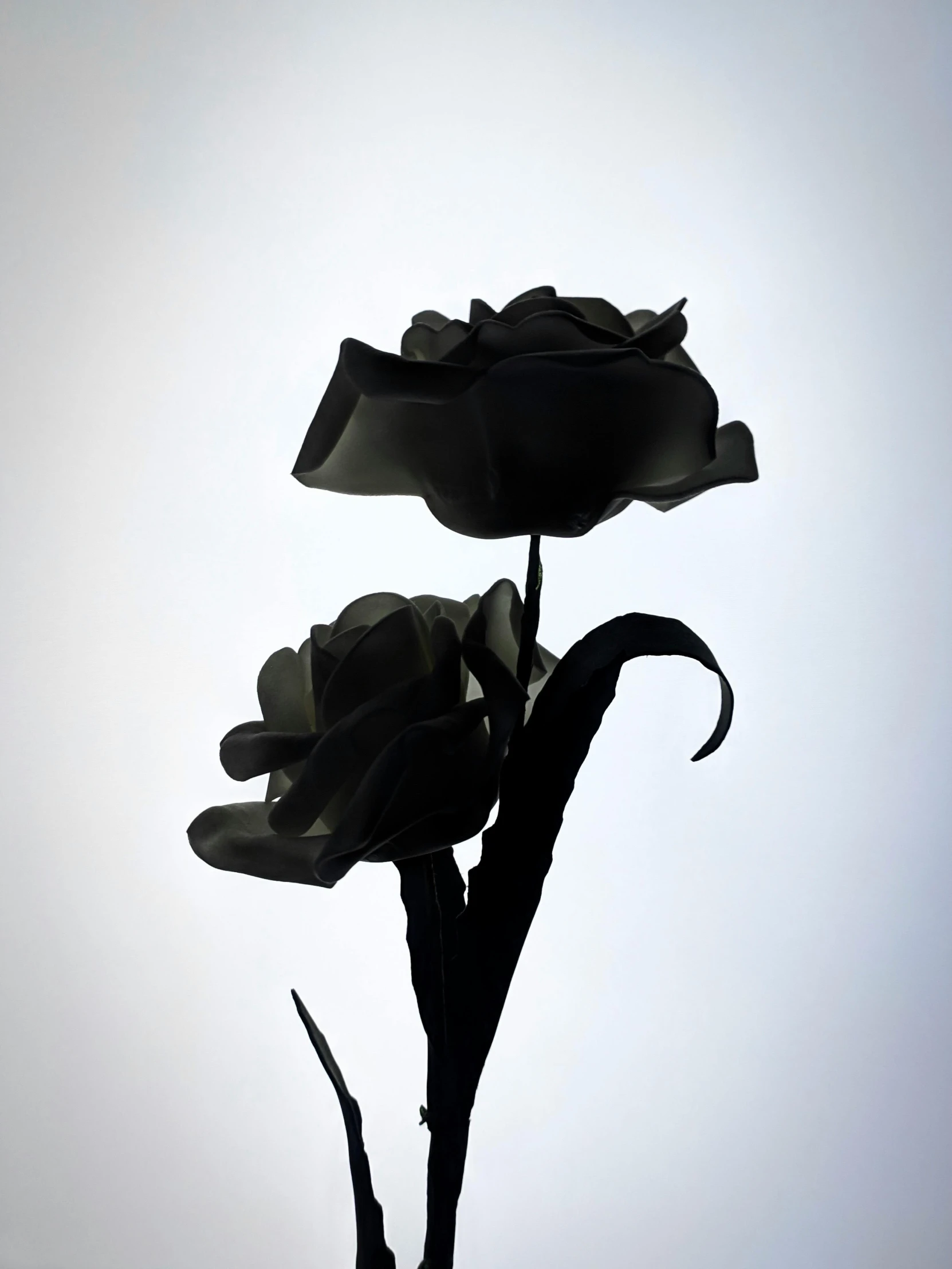 a close up of a flower with the sun in the background, a raytraced image, inspired by Robert Mapplethorpe, unsplash, black roses, made out of plastic, ( ( ( ( 3 d render ) ) ) ), made of tar