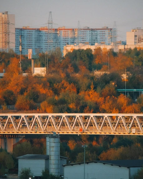 a train traveling over a bridge over a river, by Alexey Venetsianov, pexels contest winner, socialist realism, city buildings on top of trees, at sunset in autumn, zoomed out view, lgbtq