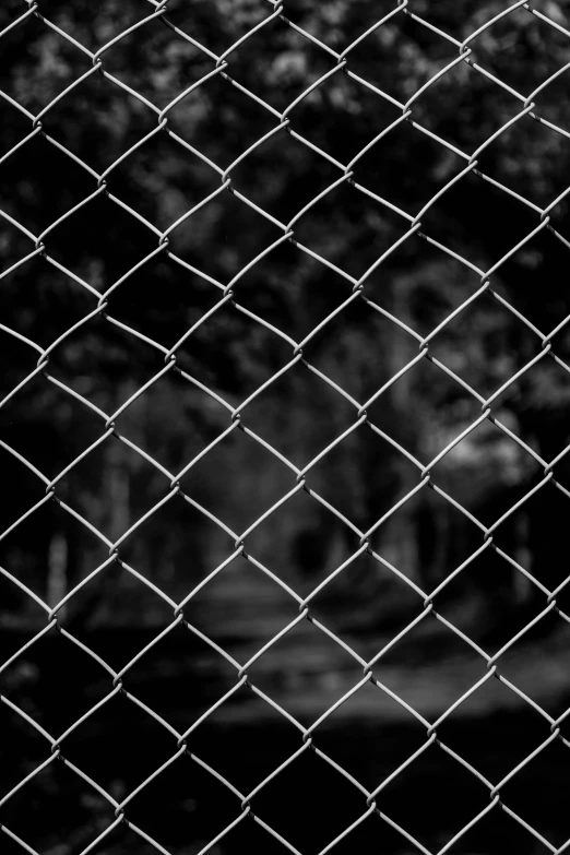 a black and white photo of a chain link fence, inspired by Elsa Bleda, unsplash, square lines, ((chains)), taken in zoo, dark wallpaper