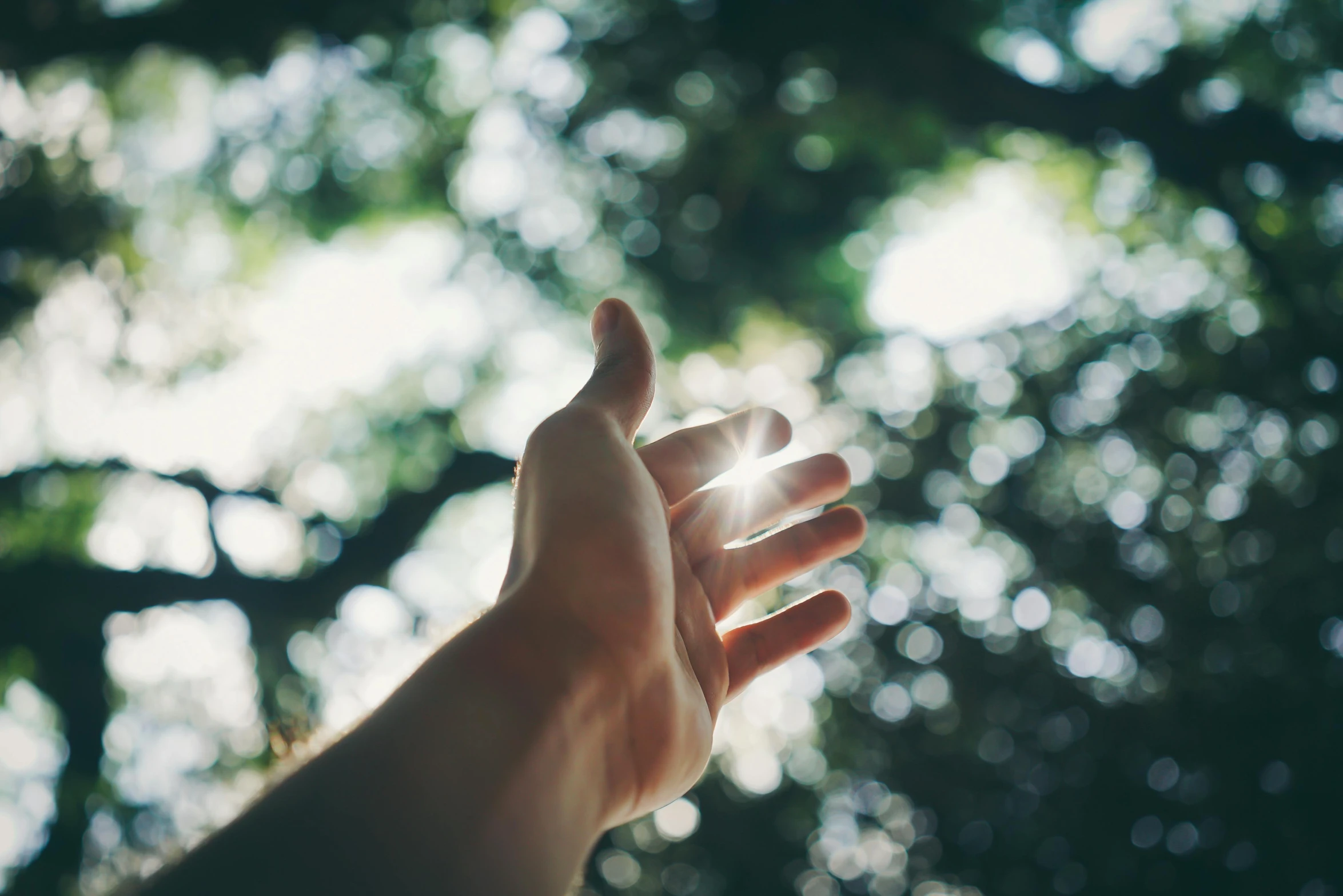 a close up of a person's hand with trees in the background, light and space, instagram post, healing, reaching, sun lit