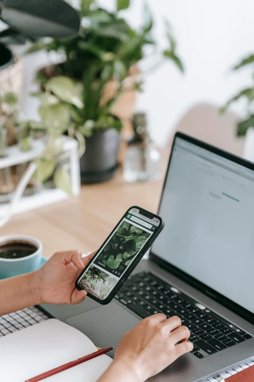 a woman sitting at a table with a laptop and a cell phone, a picture, trending on pexels, plant photography, corporate phone app icon, earthy, rectangle