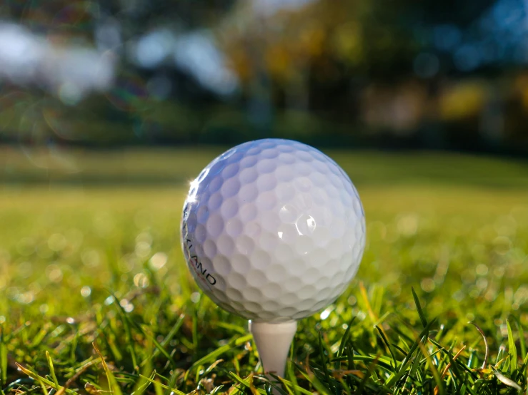 a golf ball on a tee in the grass, pixabay, avatar image, soft lighting, thumbnail, instagram post