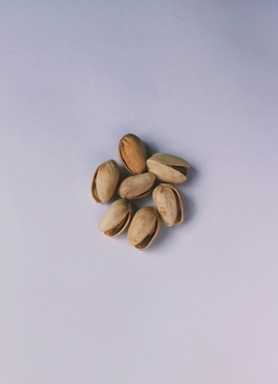 a pile of nuts sitting on top of a white surface, product image, alessio albi, slightly turned to the right, smol