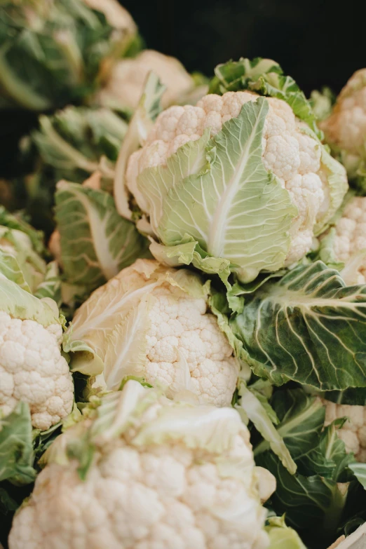 a pile of cauliflower sitting on top of a table, by Carey Morris, unsplash, rows of lush crops, embracing, brocade, subtle detailing