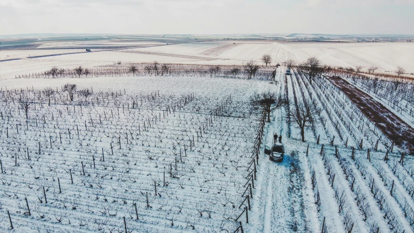 a truck driving through a snow covered field, by Adam Marczyński, pexels contest winner, orc on vines, wide aerial shot, bubbly scenery, thumbnail