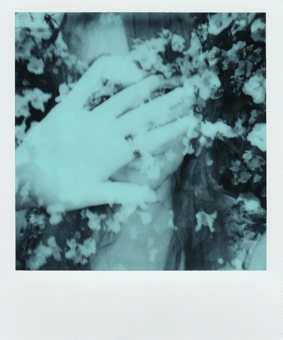 a woman holding flowers in front of her face, a polaroid photo, inspired by Elsa Bleda, conceptual art, blue scales. playing in the snow, ((greenish blue tones)), album, kiki smith