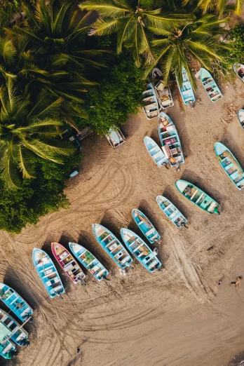 a group of boats sitting on top of a sandy beach, flatlay, lush surroundings, up-close, fishing