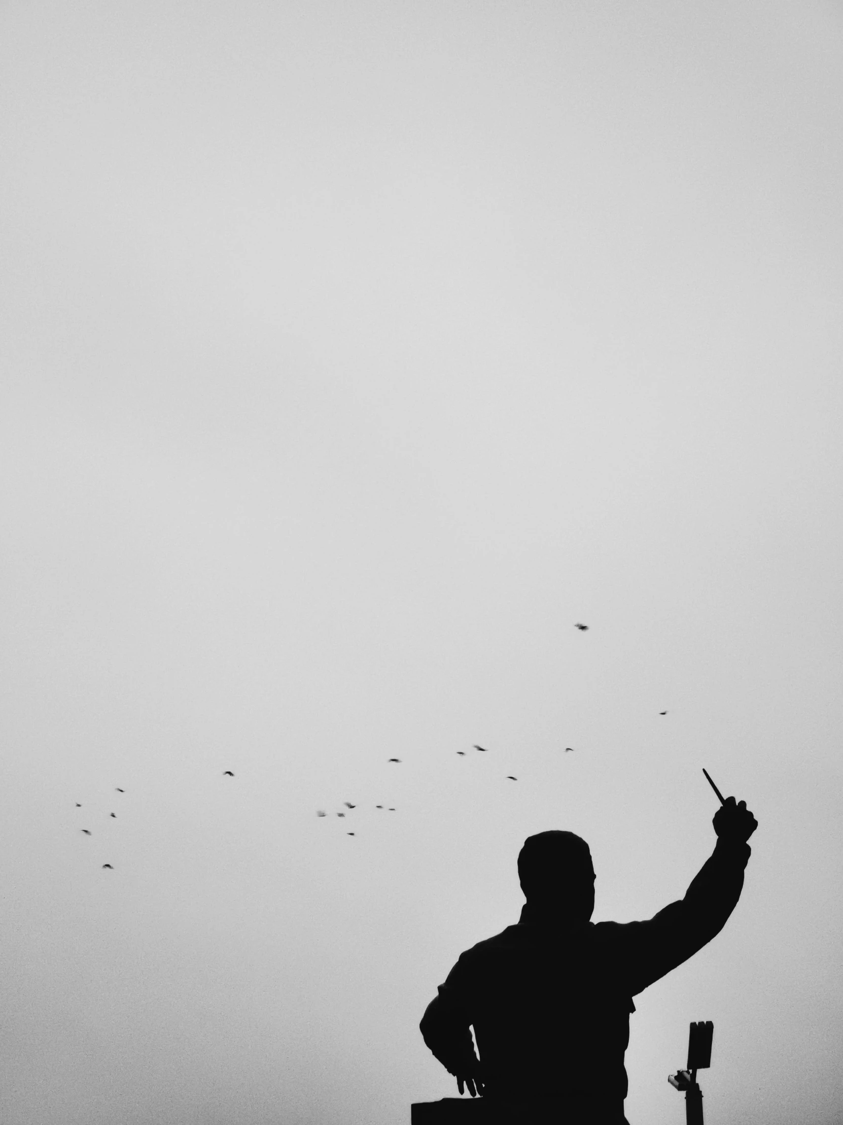 a black and white photo of a man flying a kite, by Shang Xi, bird flocks!!, bullet shells flying, ( ( photograph ) ), wu liu