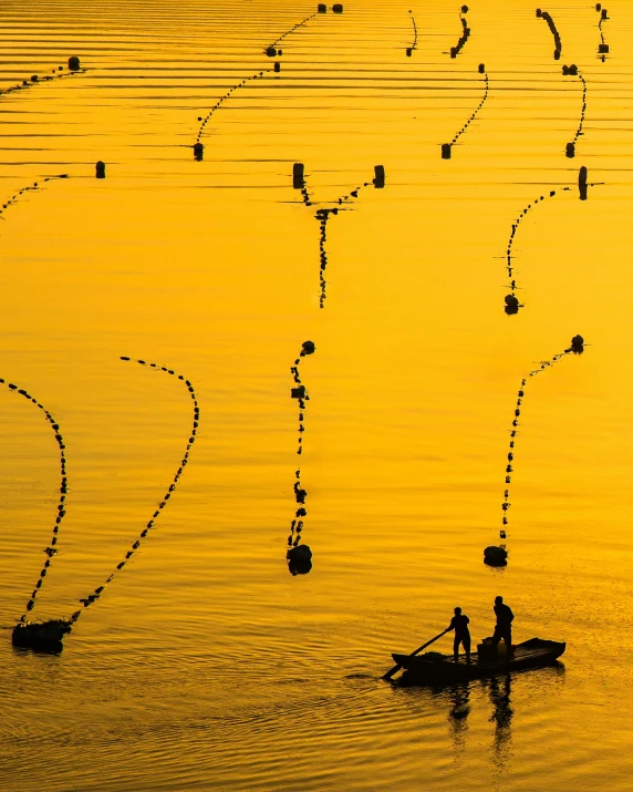 a couple of people riding on top of a boat, by Gang Se-hwang, unsplash contest winner, minimalism, yellow lanterns, fishing, olympics, farming