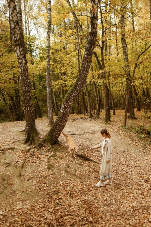 a woman is throwing a frisbee in the woods, inspired by Oleg Oprisco, pexels contest winner, with dogs, yellow carpeted, autum, arrendajo in avila pinewood