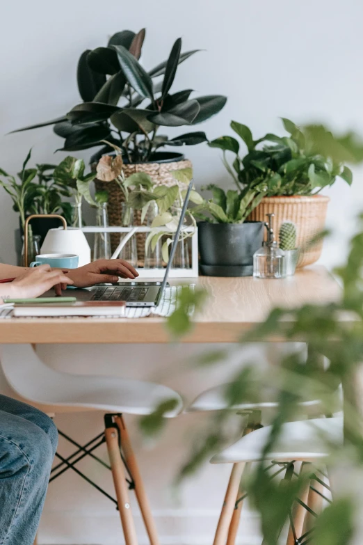 a woman sitting at a table working on a laptop, trending on pexels, lush plants, clean and organized, distant photo, - 9