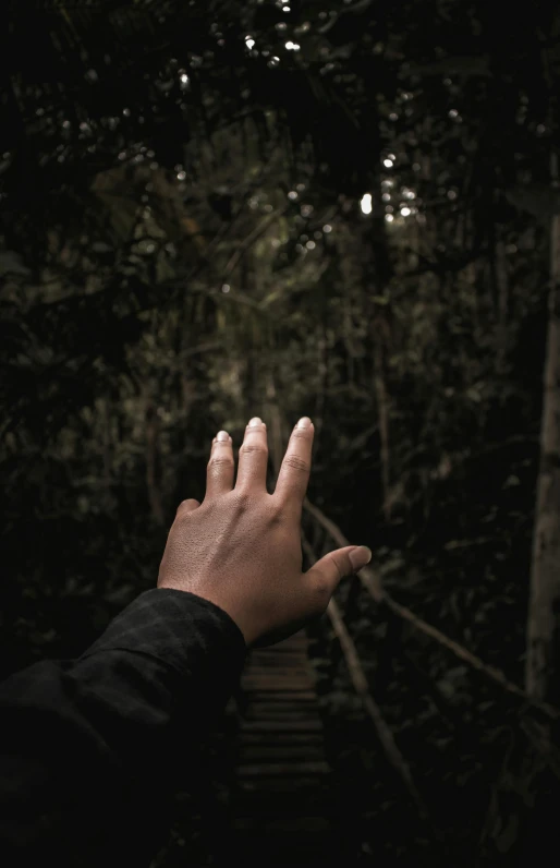 a person reaching for something in the woods, unsplash, sumatraism, hand gesture, high quality image, single, tall