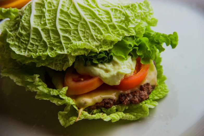 a hamburger with lettuce, tomato, and cheese, by Daniel Lieske, pexels, renaissance, damask, light green, instagram photo, creamy