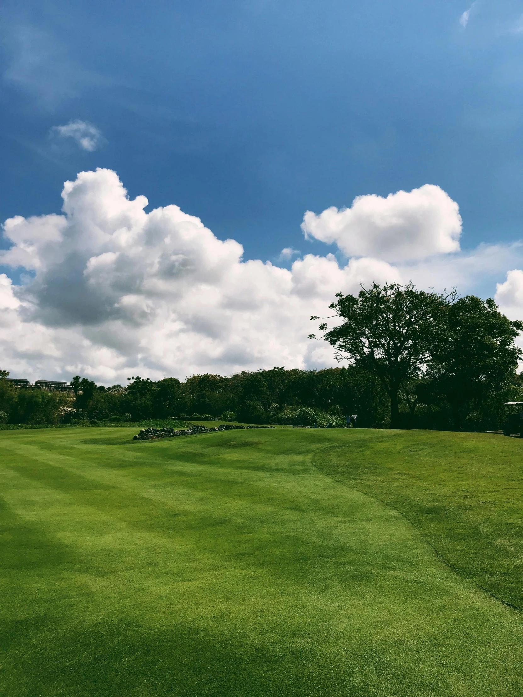 a green golf course with trees in the background, a screenshot, unsplash, hurufiyya, puffy clouds in background, background image, exterior photo