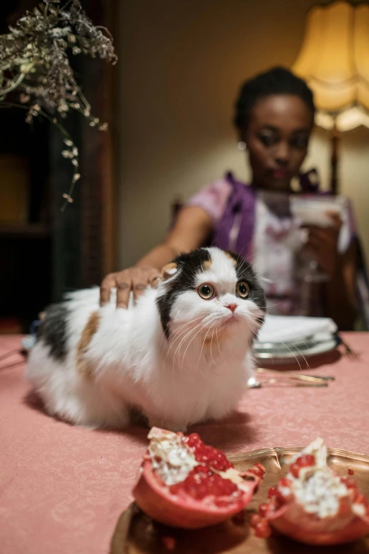 a cat that is sitting on a table, by Julia Pishtar, shutterstock contest winner, photorealism, tessa thompson, scene from a dinner party, high angle close up shot, about to consume you