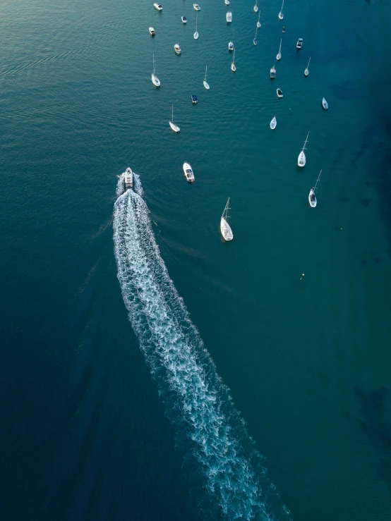 a large body of water filled with lots of boats, by Niko Henrichon, pexels contest winner, mid air shot, crisp lines, vertical orientation, print ready