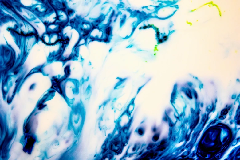 a close up of a blue and yellow liquid, flickr, action painting, porcelain organic tissue, lsd waves, album cover, light green and deep blue mood