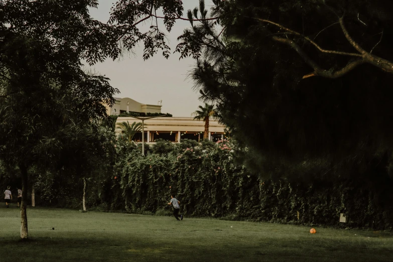 a group of people playing a game of frisbee, les nabis, lush greenery, architectural shot, amr elshamy, golf course