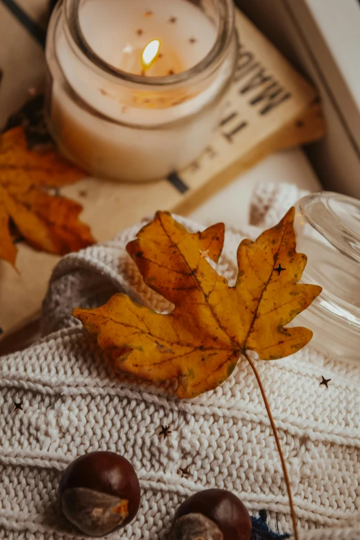a candle sitting on top of a table next to a pile of books, a still life, trending on pexels, leafs falling, autum, wearing a white sweater, brown and cream color scheme