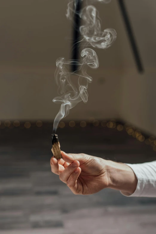 a person holding a cigarette with smoke coming out of it, incense, hemp, profile image, centered shot